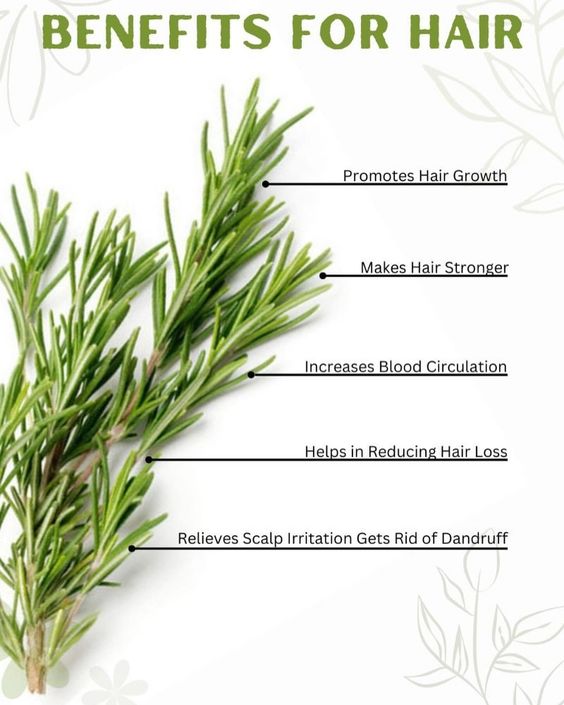 MIELLE Rosemary Mint Strengthening Shampoo