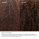 OLAPLEX Nº.7 BONDING OIL™