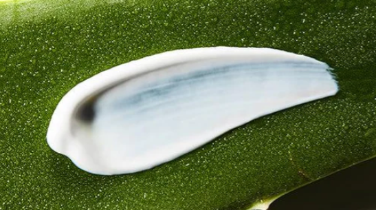 Cosrx Aloe Soothing Sun Cream SPF 50+ PA+++