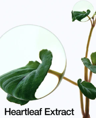 Anua - Heartleaf Pore Control Cleansing Oil