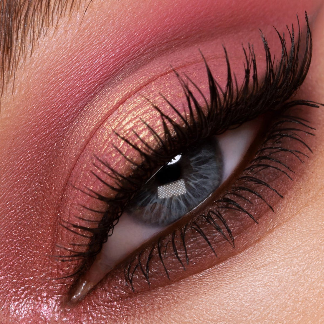 Divine Rose Luxe Quad – Eternal Eden