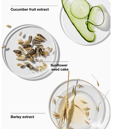 Clinique | Dramatically Different Moisturizing Gel