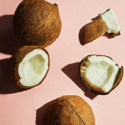 Softsoap |  Coconut Butter Scent Body Wash Exfoliating Scrub