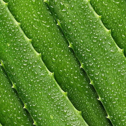 Mario Badescu - Aloe Lotion - 236ml