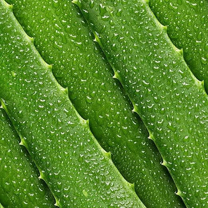 Mario Badescu - Aloe Lotion - 236ml