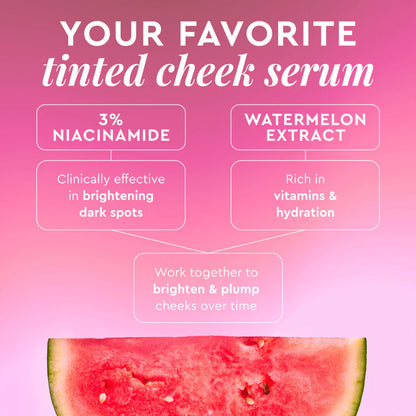 Glow Recipe Watermelon Glow Niacinamide Dewy Flush