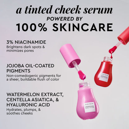 Glow Recipe Watermelon Glow Niacinamide Dewy Flush