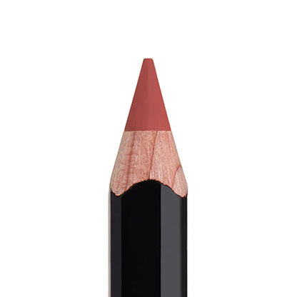 Anastasia Beverly Hills - Long-Lasting Velvety-Matte Lip Liner Mini - DUSTY ROSE