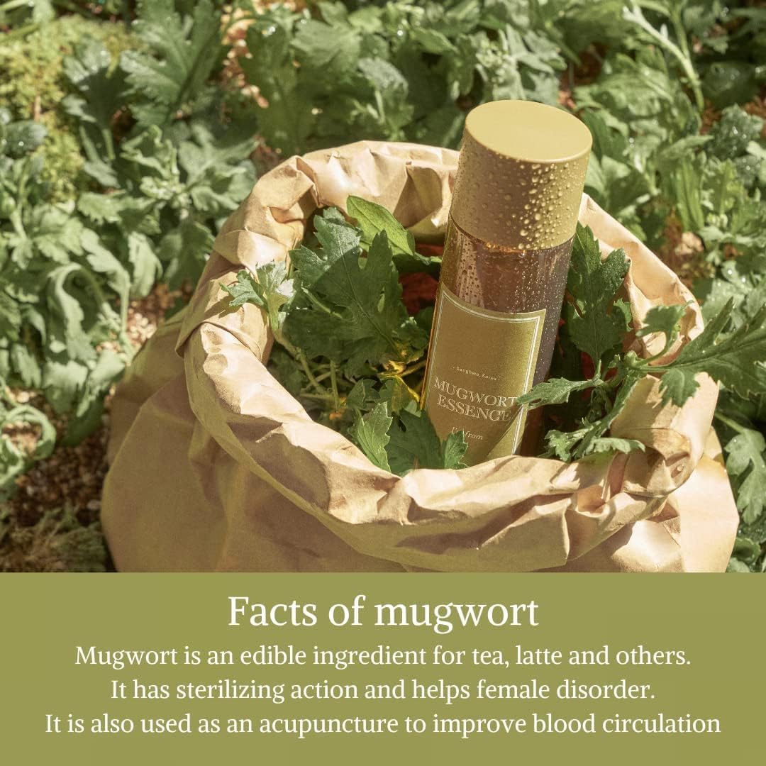 I'm from - Mugwort Essence Mini 30 ml