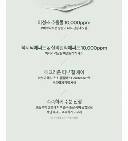 Anua Heartleaf Succinic Moisture Cleansing Foam