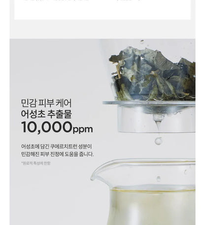 Anua Heartleaf Succinic Moisture Cleansing Foam