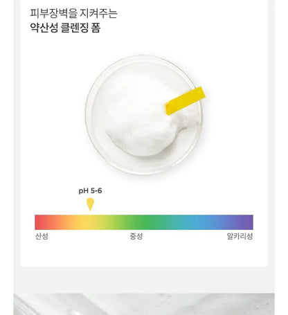 Anua Heartleaf Succinic Moisture Cleansing Foam