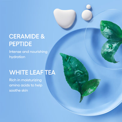 LANEIGE Icons To Go Iconic Face Skincare Set