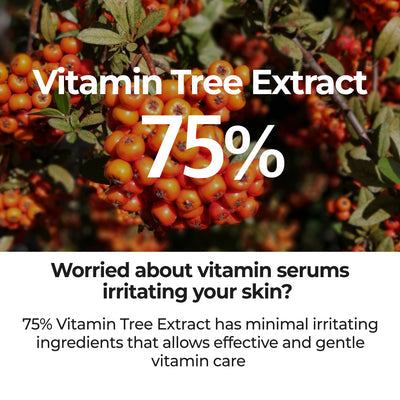 Numbuzin No. 5 Goodbye Blemish Serum