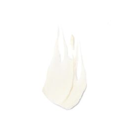 Estee Lauder Nutritious Super-Pomegranate Radiant Energy 2-in-1 Cleansing Foam