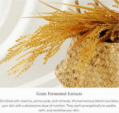 BEAUTY OF JOSEON | Relief Sun : Rice + Probiotics (SPF50+ PA++++)