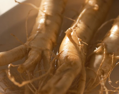 Beauty Of Joseon Revive Serum Ginseng + Snail Mucin