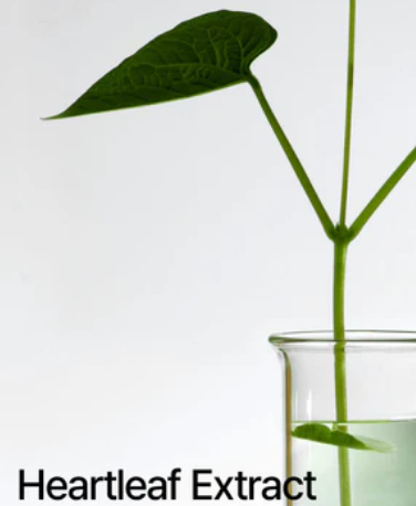 Anua Heartleaf 77% Soothing Toner