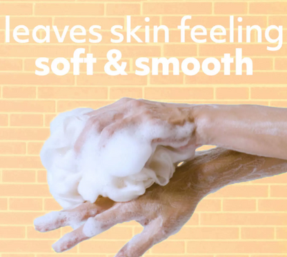 Softsoap | Pomegranate & Mango Spritz | Moisturizing Body Wash Gel Douche Hydratant