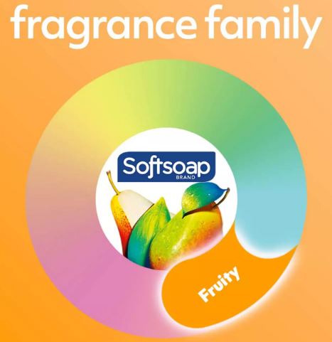 Softsoap | Pomegranate & Mango Spritz | Moisturizing Body Wash Gel Douche Hydratant