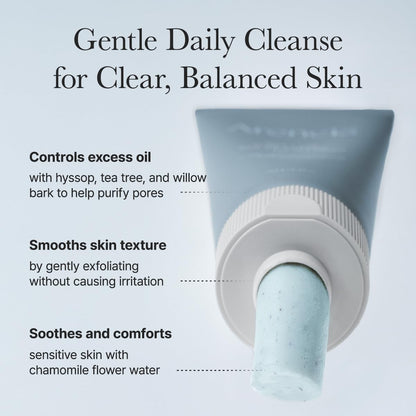 Arencia Hyssop Sebum Control Rice Cake Cleanser
