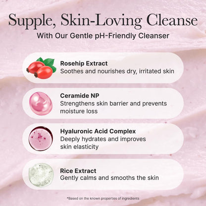 Arencia Rosehip Mild pH Balancing Rice Cake Cleanser