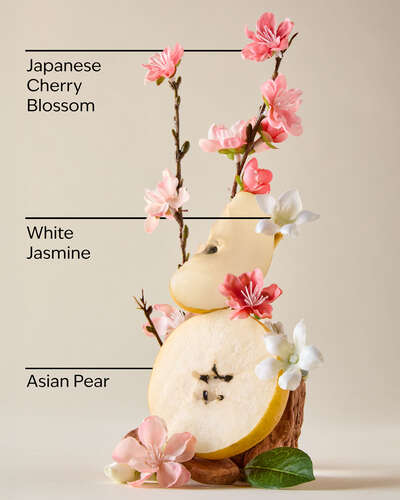 Bath & Body Works " Japanese Cherry Blossom " Fine Fragrance Mist