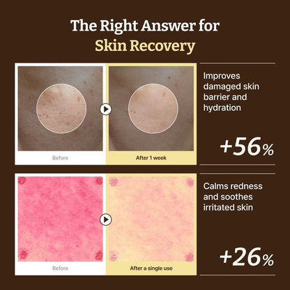 Dr. Reju-All Advanced PDRN Rejuvenating Cream
