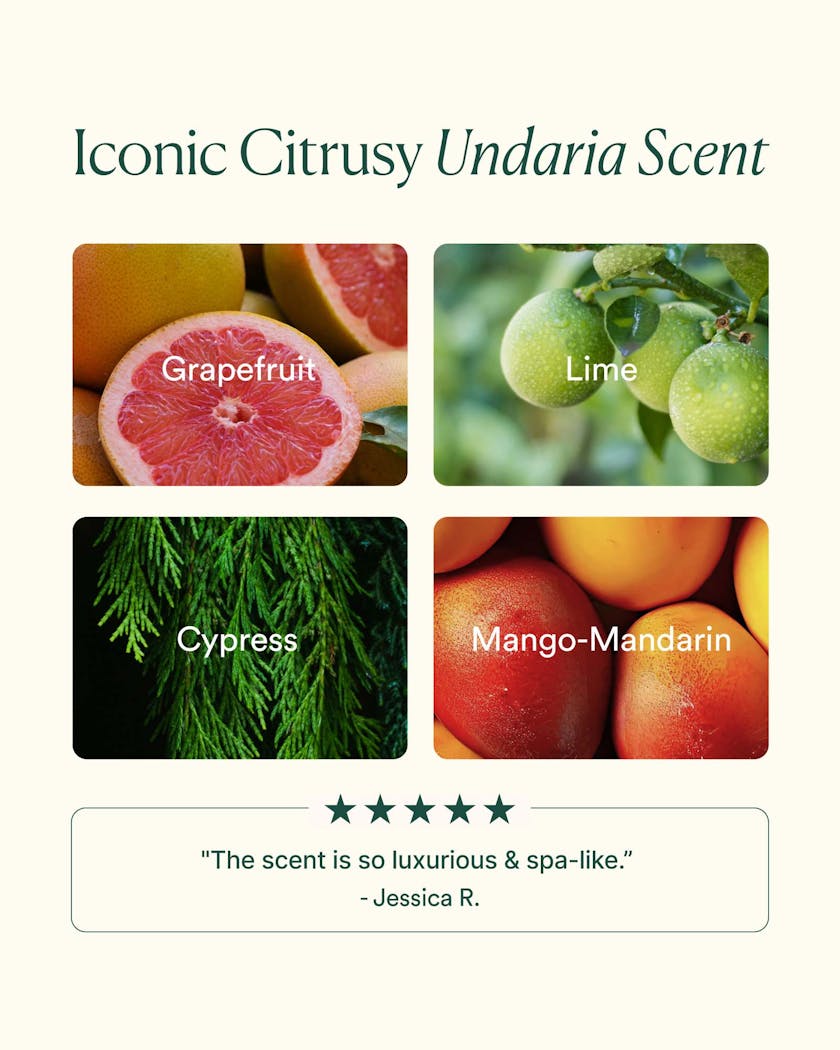 OSEA Undaria Algae Body Oil