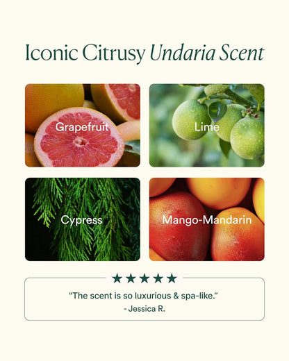 OSEA Undaria Algae Body Oil