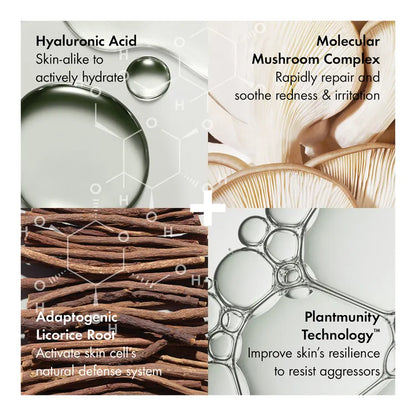 Origins Mega-Mushroom Relief & Resilience Soothing Treatment Lotion