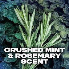 AXE Phoenix | Deodorant Spray 48 Hour Odor Protection Crushed Mint and Rosemary Deodorant without Aluminum and without Residue