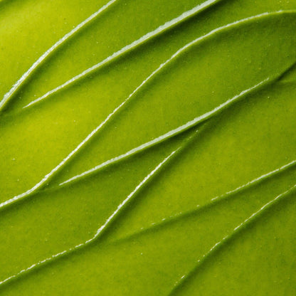 Kate Somerville | Exfolikate Intensive Exfoliating Treatment