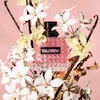 Valentino donna Born roma 50ML