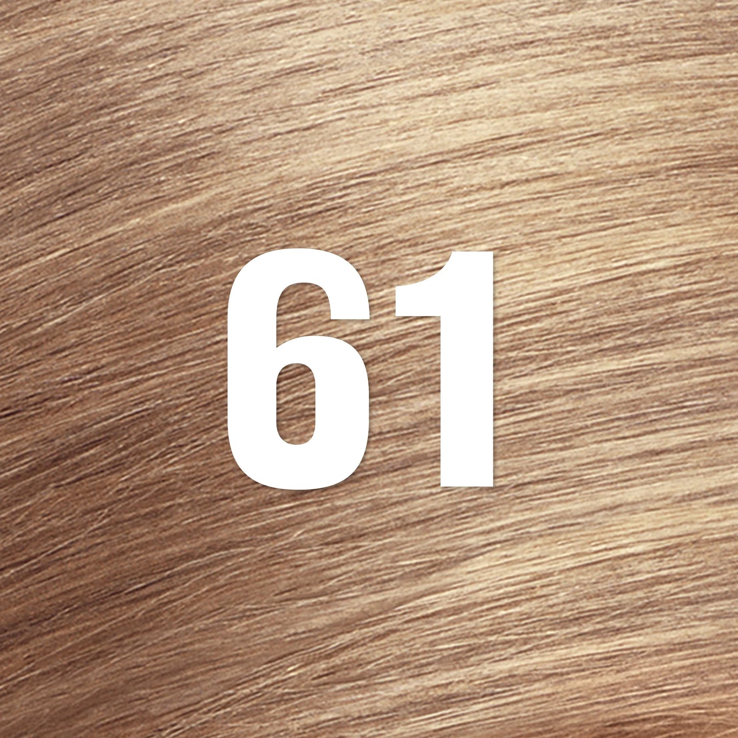 Revlon-Colorsilk Beautiful Color™ Permanent Hair Dye